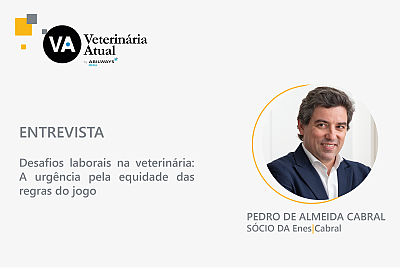 ENTREVISTA | Desafios laborais na veterinária: A urgência pela equidade das regras do jogo