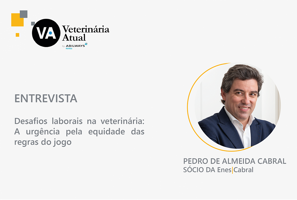 ENTREVISTA | Desafios laborais na veterinária: A urgência pela equidade das regras do jogo